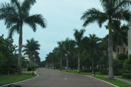 Von Fort Myers nach Naples – Bild 4 von 30