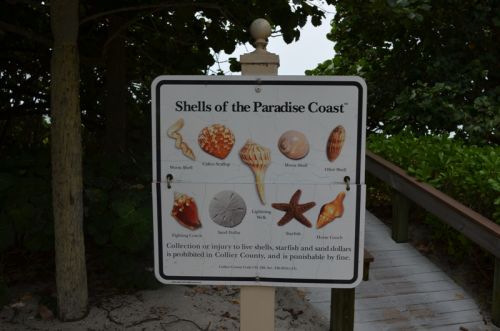 Von Fort Myers nach Naples – Bild 9 von 30