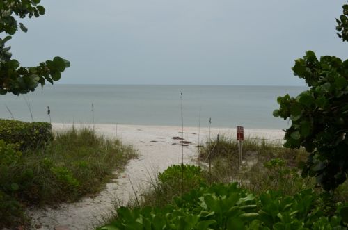 Von Fort Myers nach Naples – Bild 10 von 30