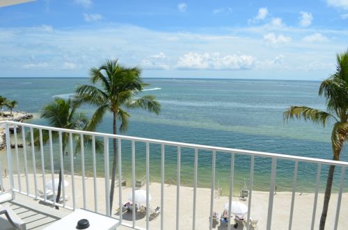 Von Key West nach Islamorada – Bild 8 von 23