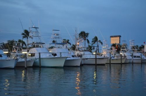 Von Key West nach Islamorada – Bild 17 von 23