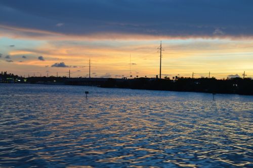 Von Key West nach Islamorada – Bild 18 von 23