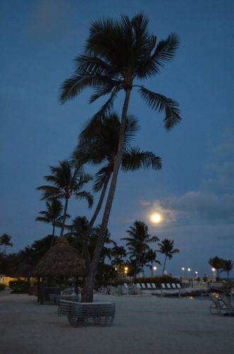 Von Key West nach Islamorada – Bild 21 von 23