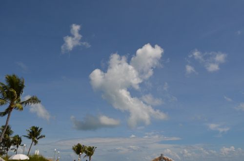 Sun & Fun auf Islamorada – Bild 5 von 7