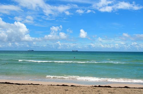 Von Islamorada nach Miami Beach – Bild 11 von 11